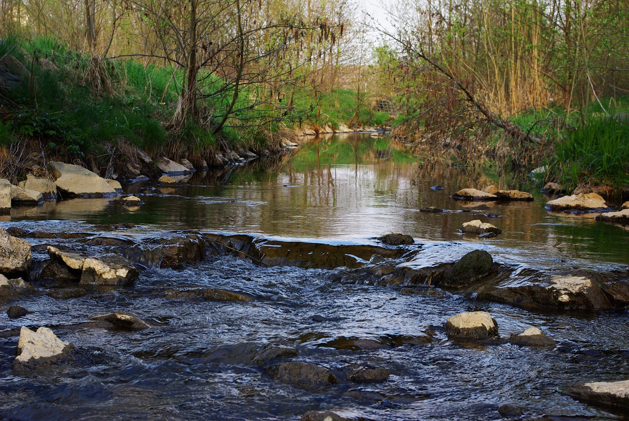 river water bach free photo