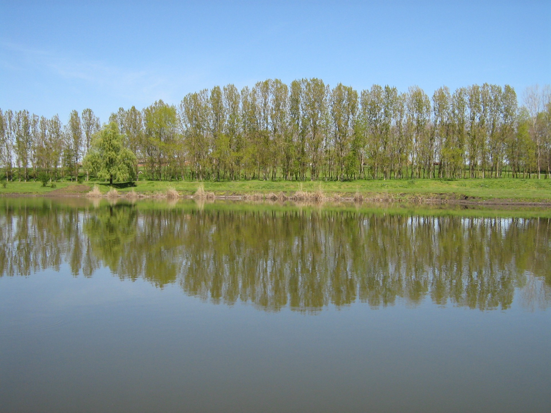 river water mouth free photo