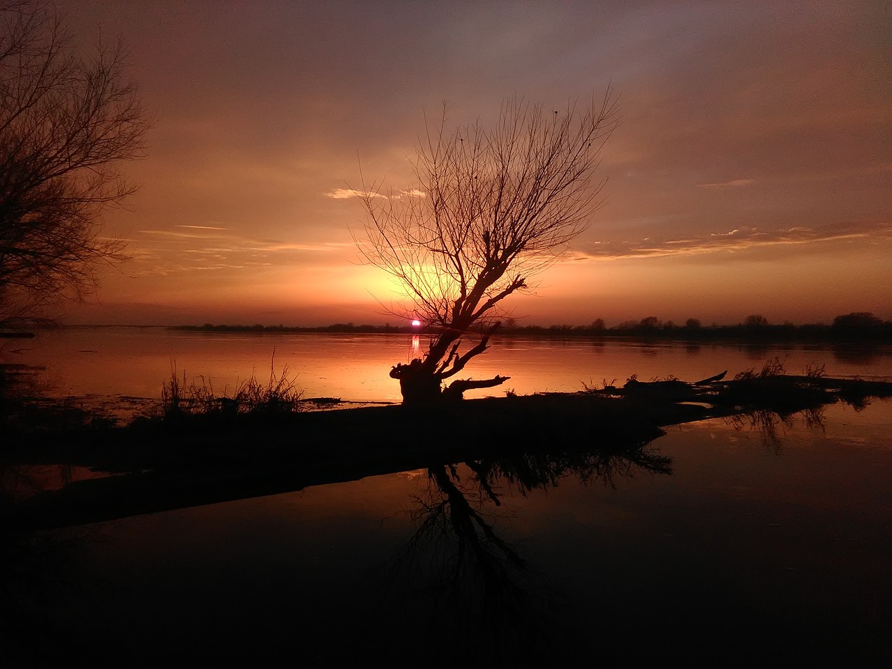 river tree sunset free photo