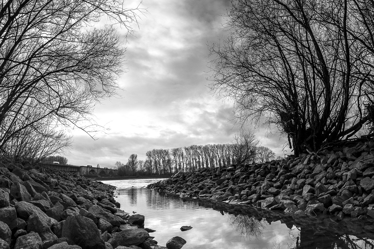 river rhine black and white free photo