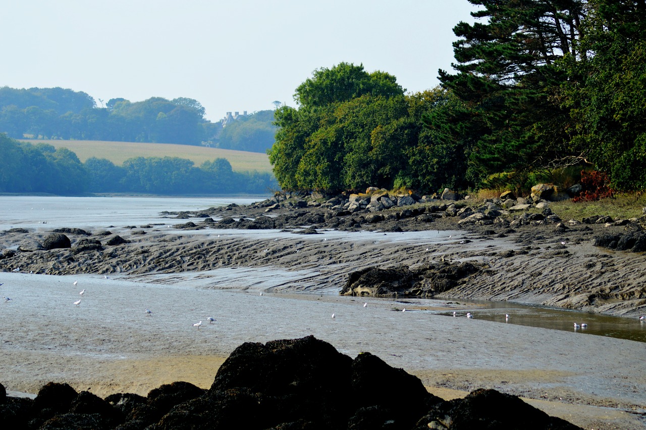 river pebbles rock free photo