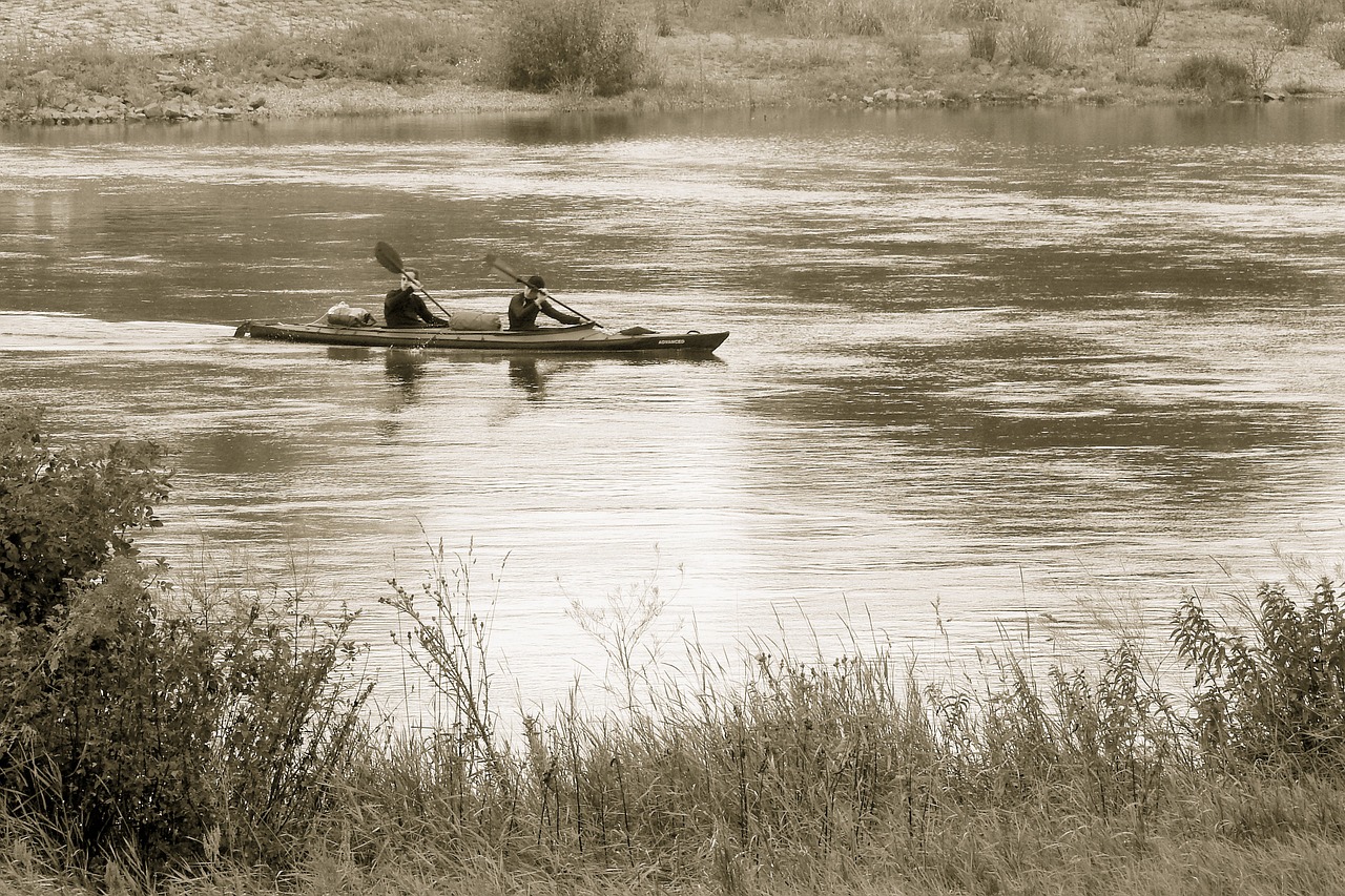 river paddler bank free photo
