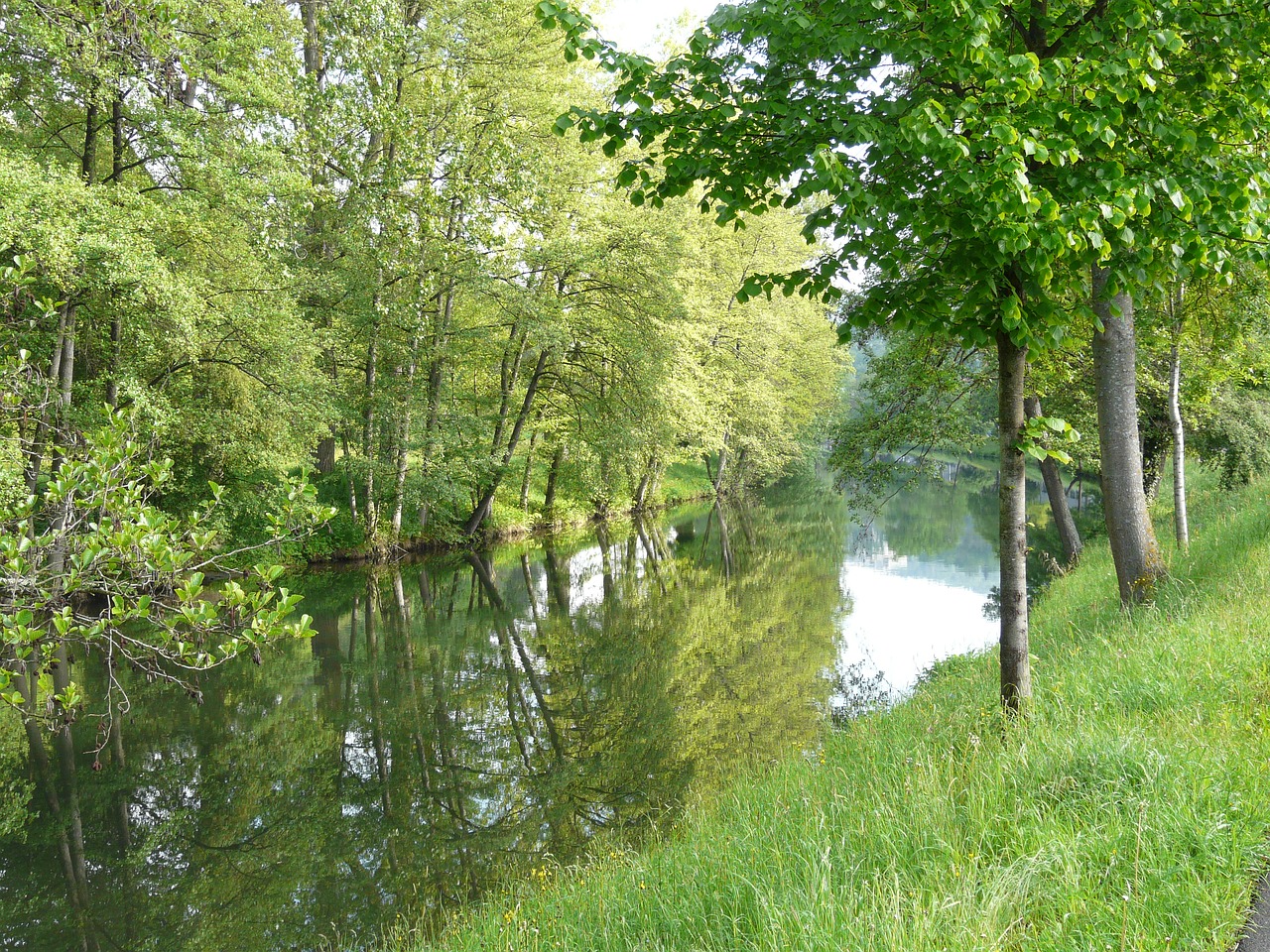 river idyll nagold free photo