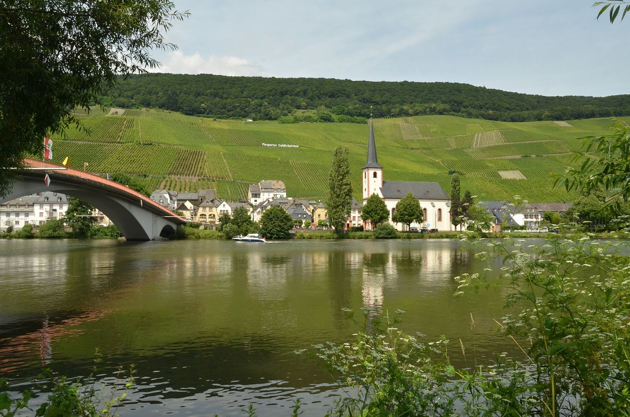 river moselle wine free photo
