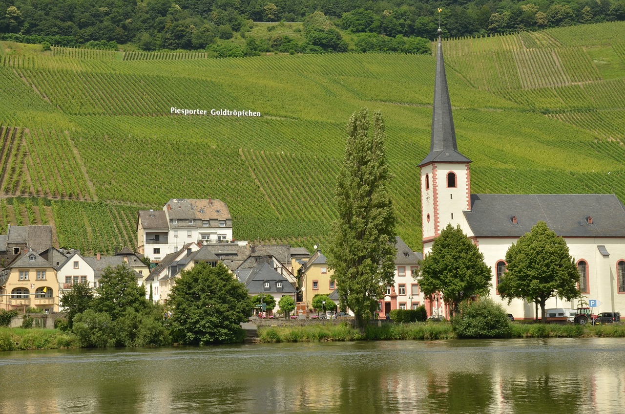 river moselle wine free photo
