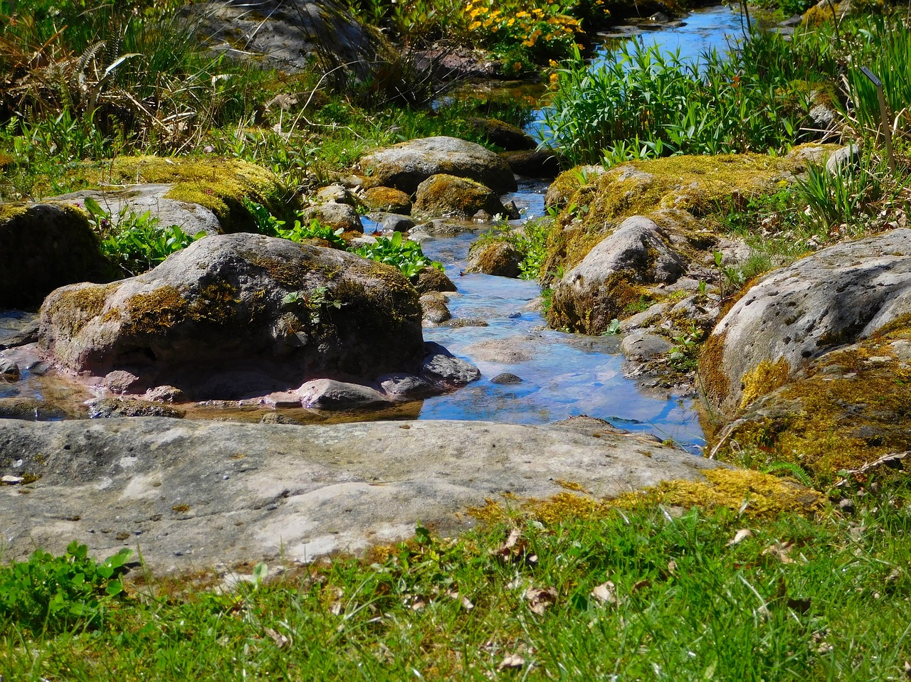 river small river bach free photo