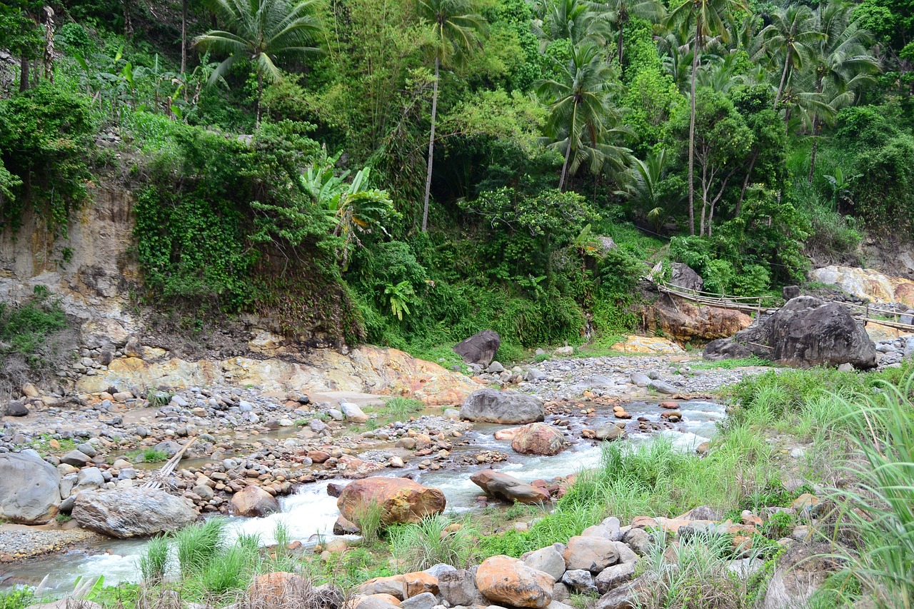 river drought low free photo