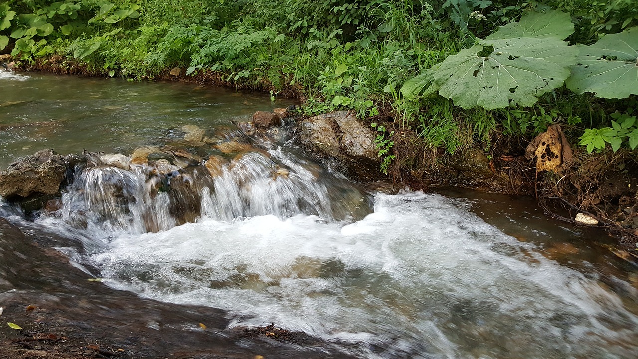 river stream water free photo