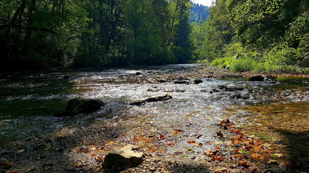 river wutach wutach gorge free photo