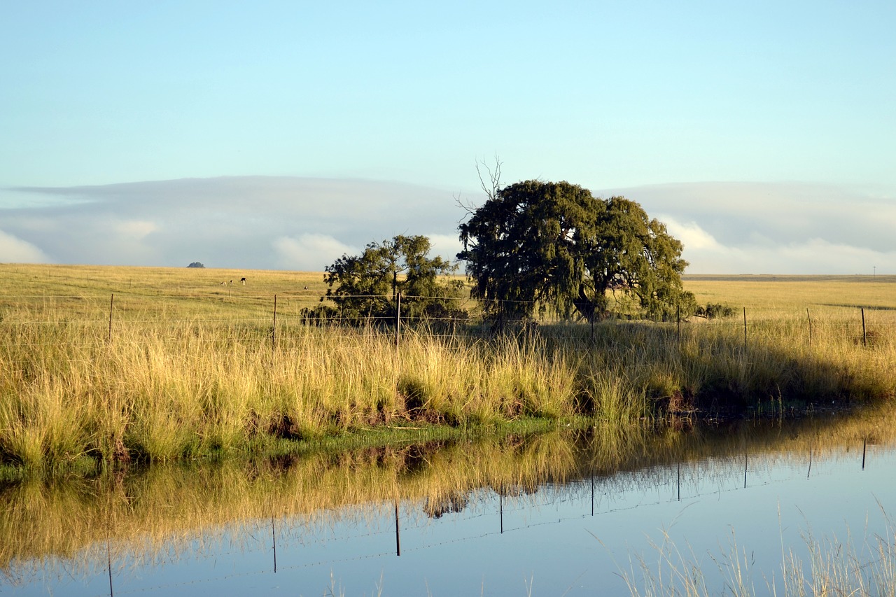 river landscape environment free photo