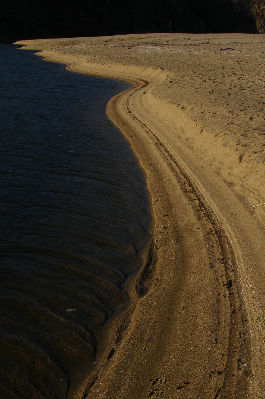 river riverbank bulgaria free photo