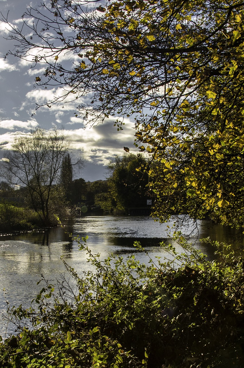 river landscape autumn free photo