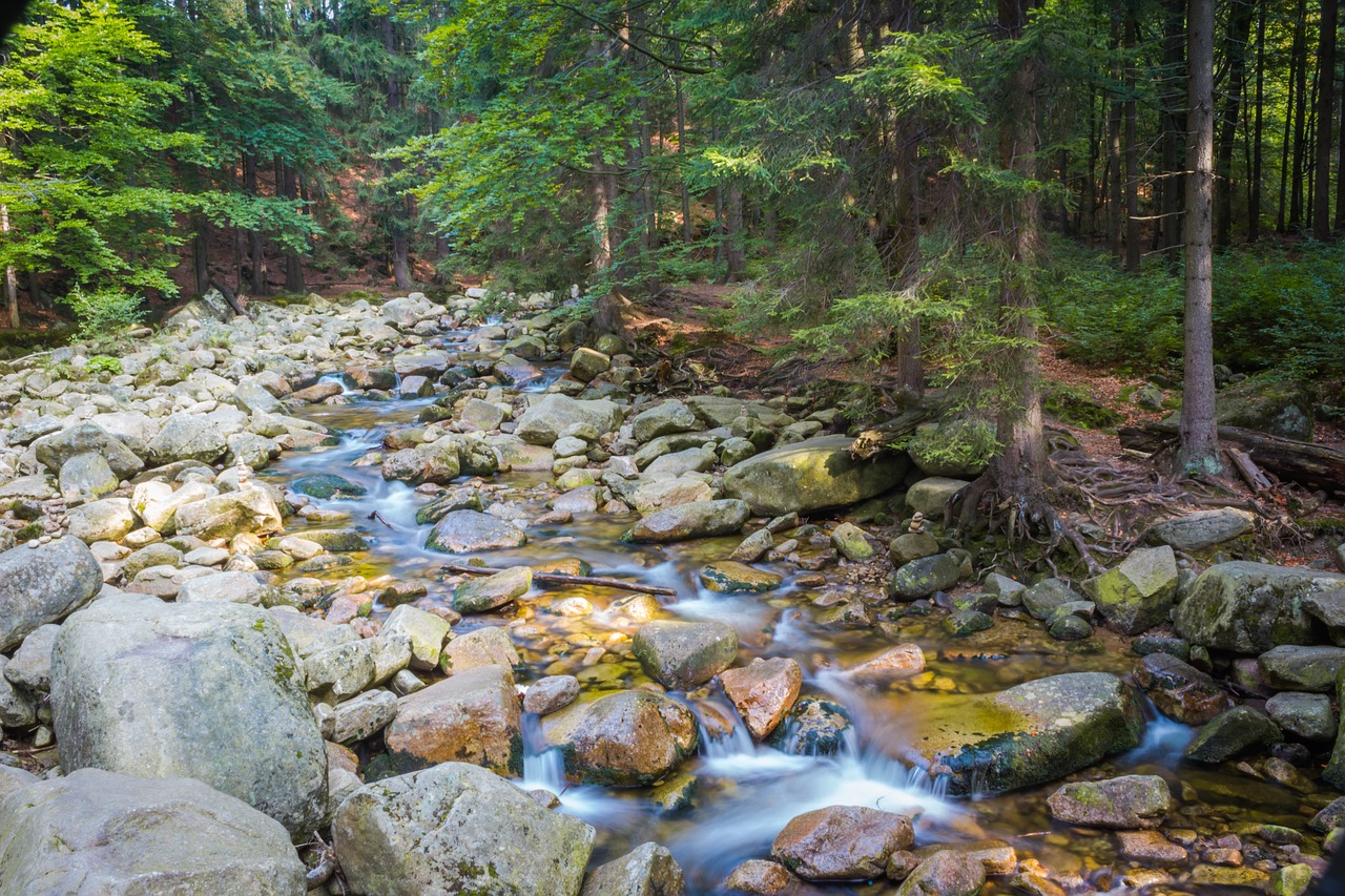 river mumlava stones free photo