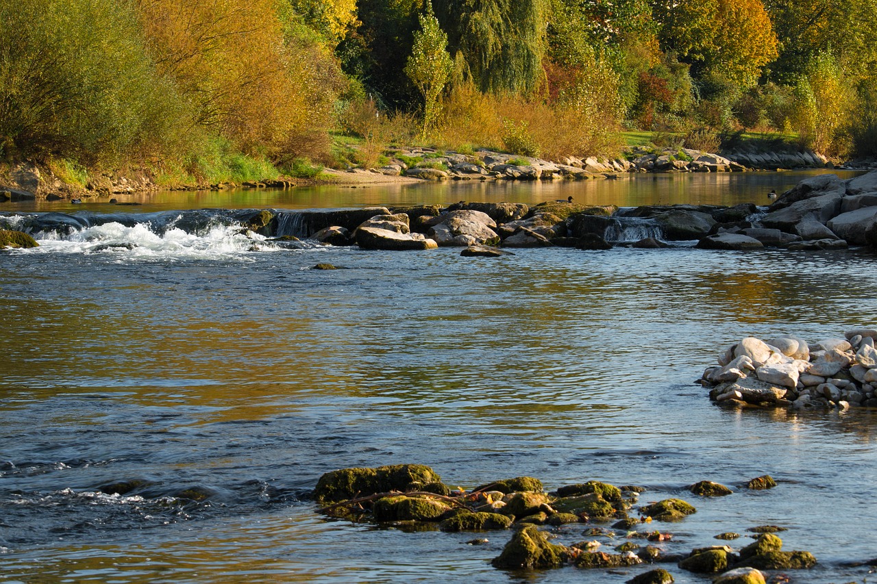 river autumn birs free photo