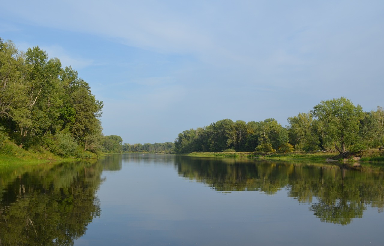 river forest nature free photo