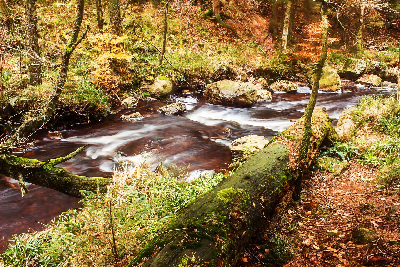 river bach water free photo