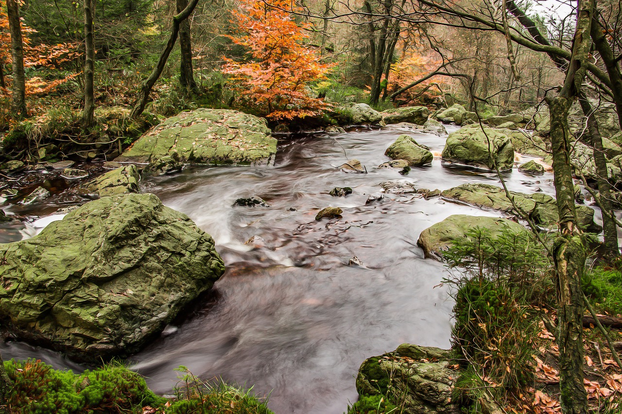 river bach water free photo