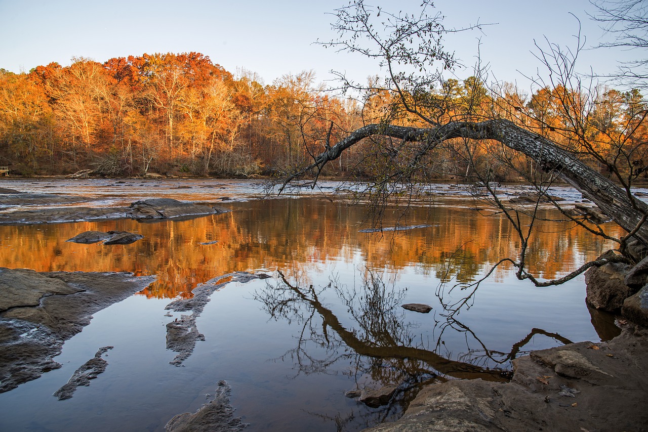 river water stream free photo