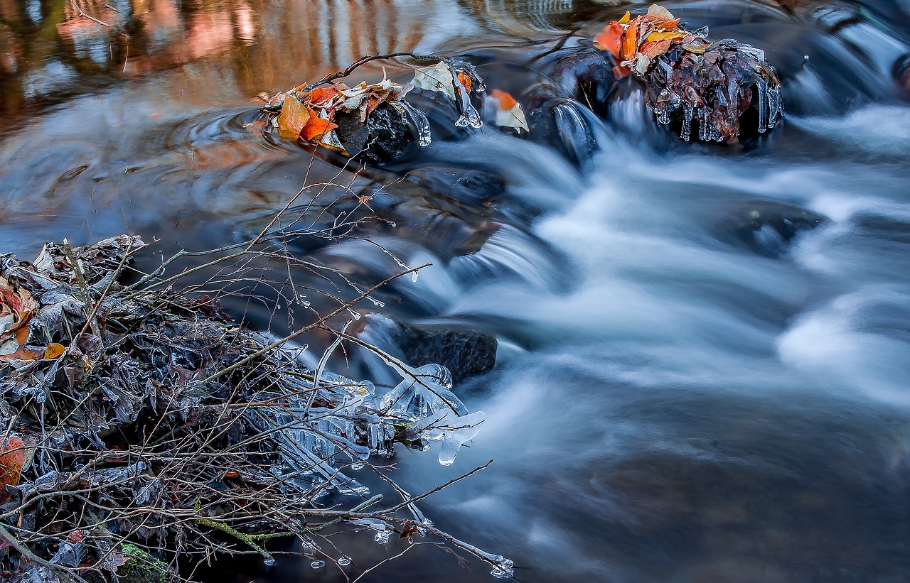 river bach water free photo