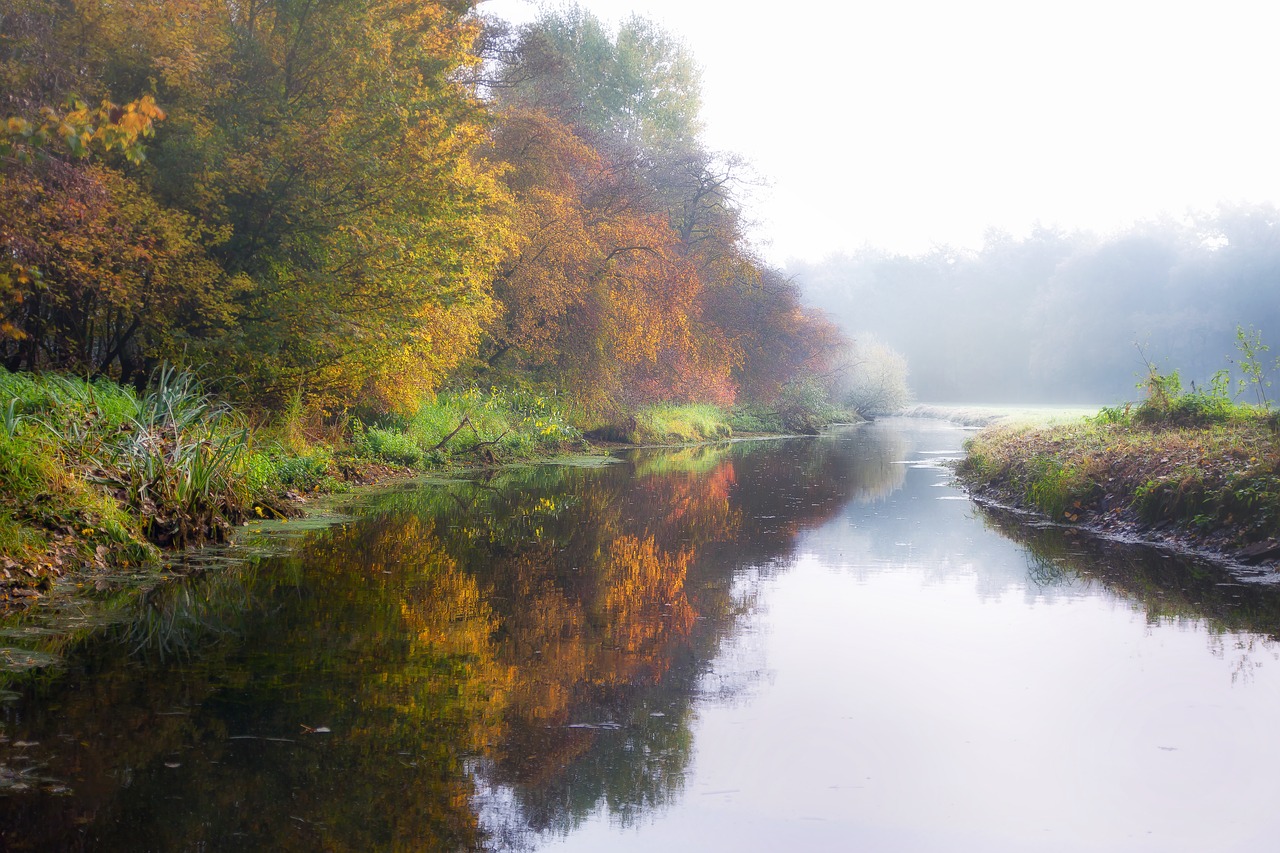 river fog rain free photo