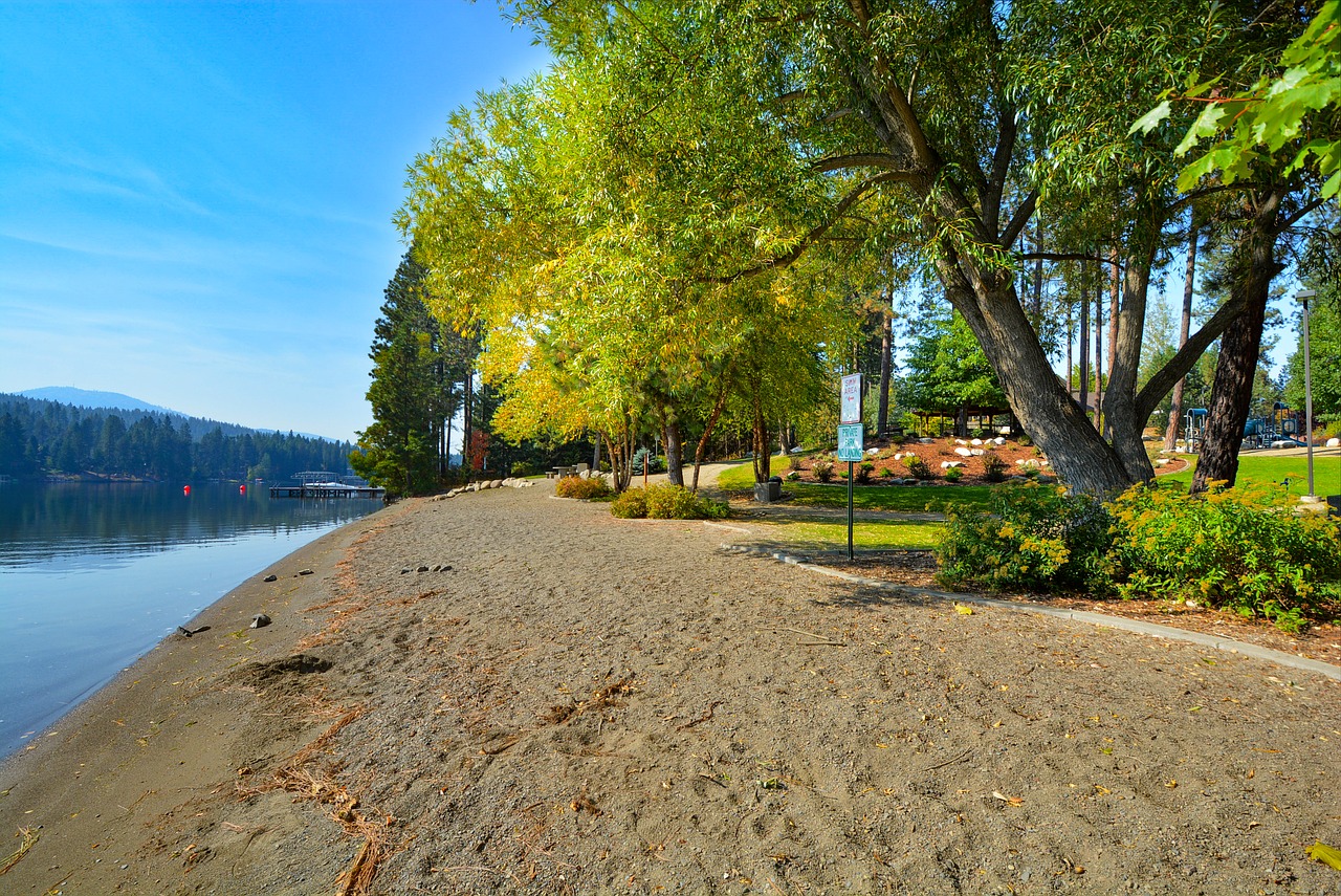 river beach trees free photo