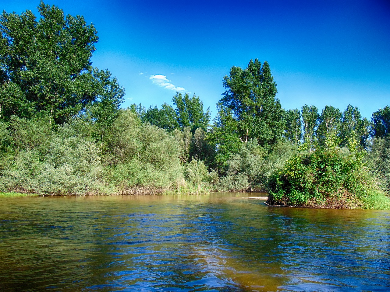 river summer nature free photo