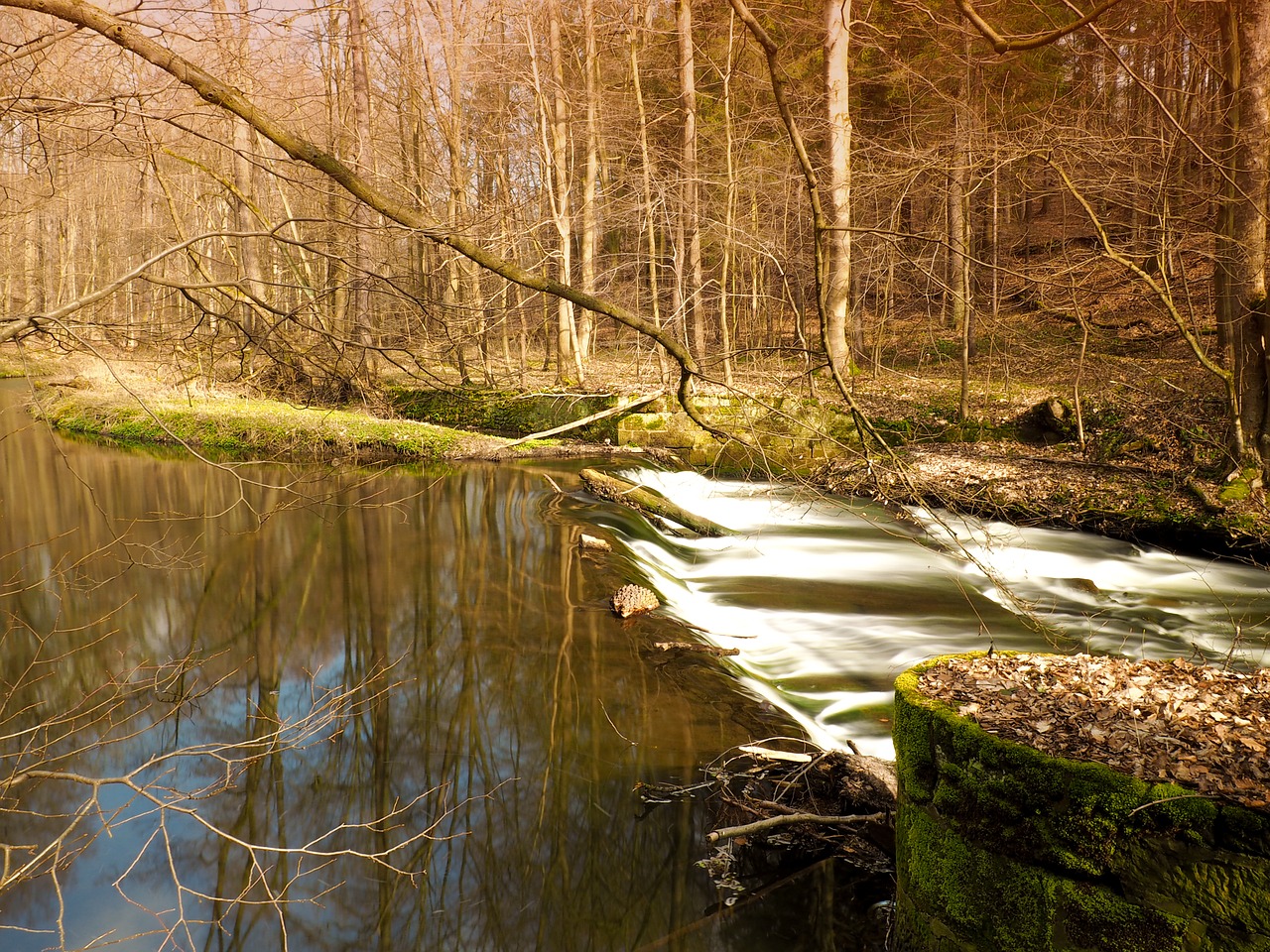 river valley water free photo