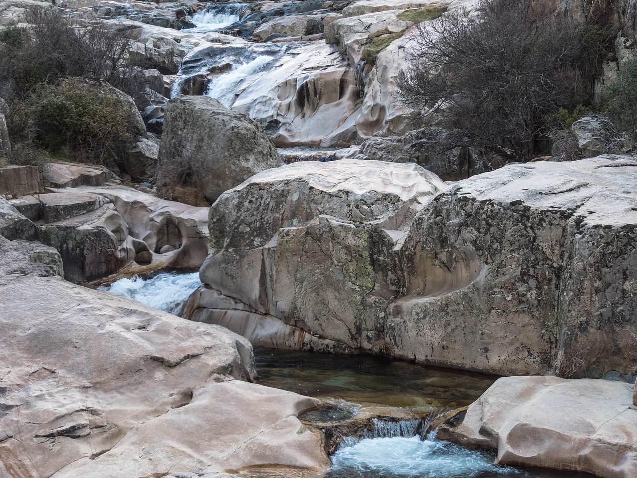 river water forest free photo