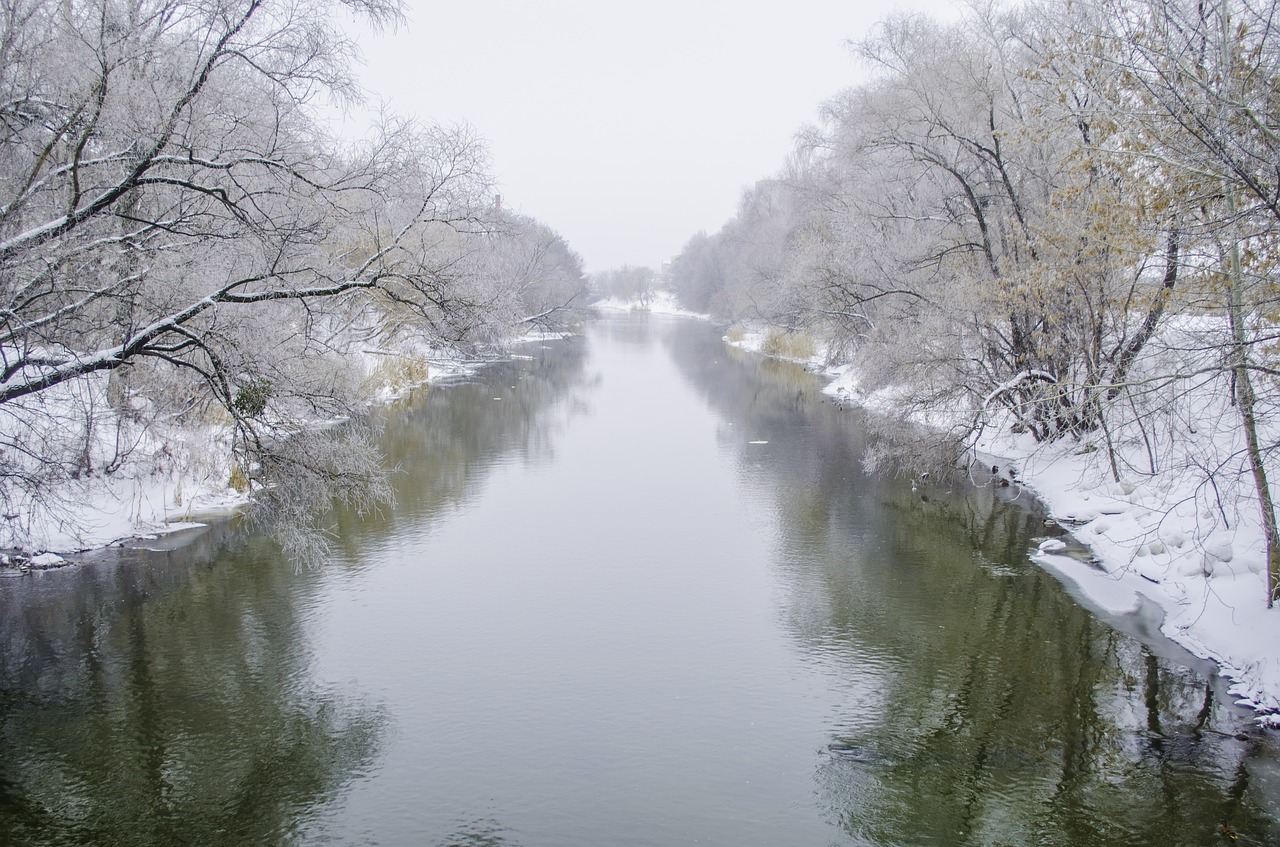 river shore fog free photo