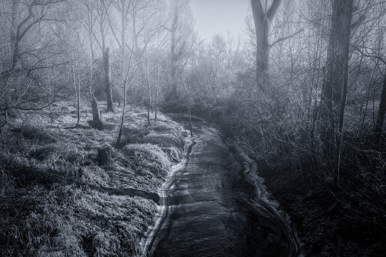 river frozen fog free photo