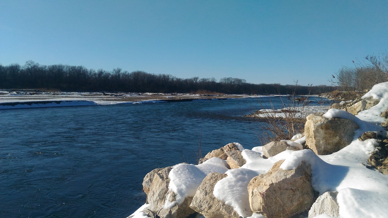 river lab in winter free photo