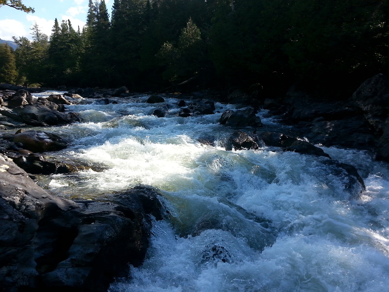 river nature gaspésie free photo