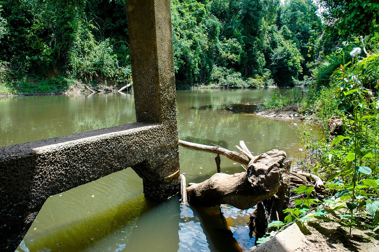 river river landscape of the bridge free photo