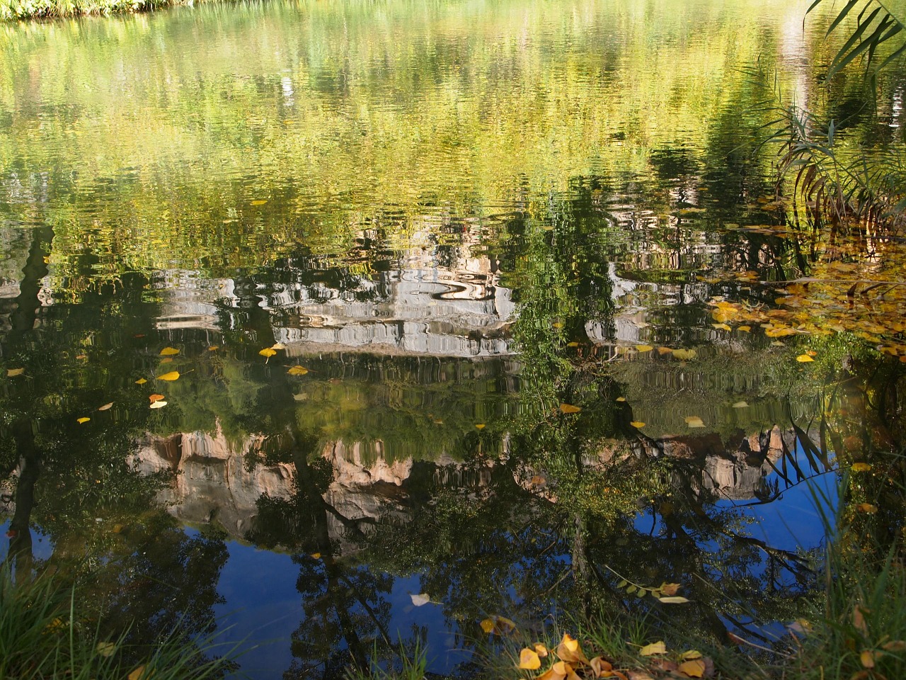 river reflection shore free photo