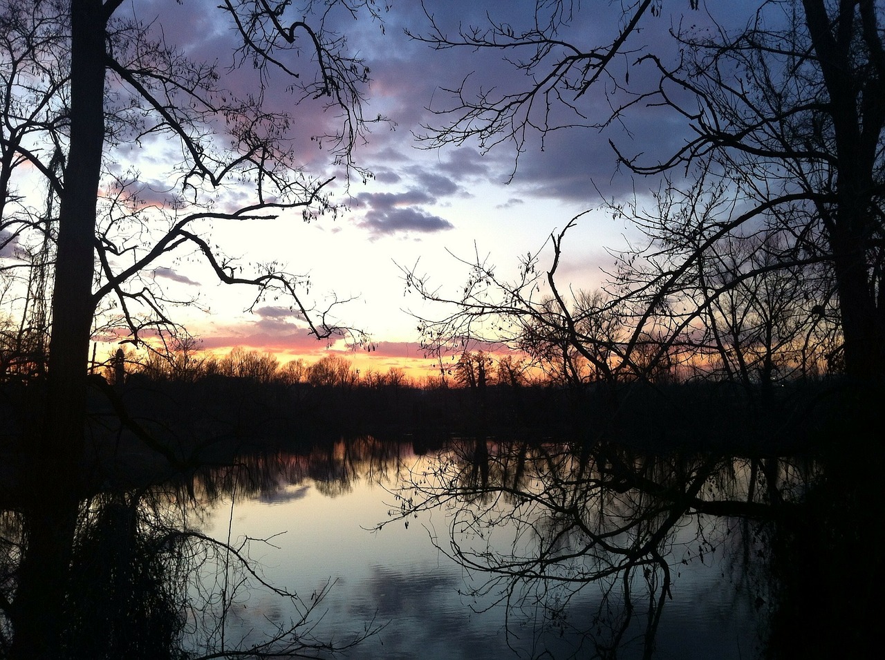 river trees relaxation free photo