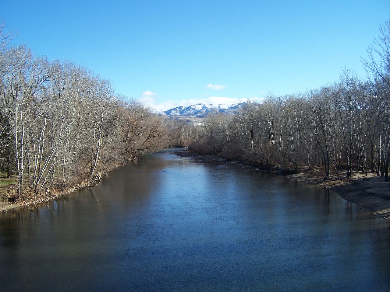 river winter trees free photo