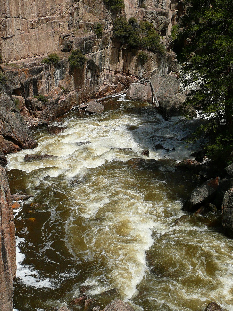 river rushing water nature free photo