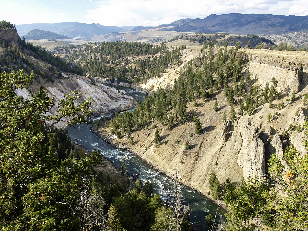 river yellowstone national park wyoming free photo