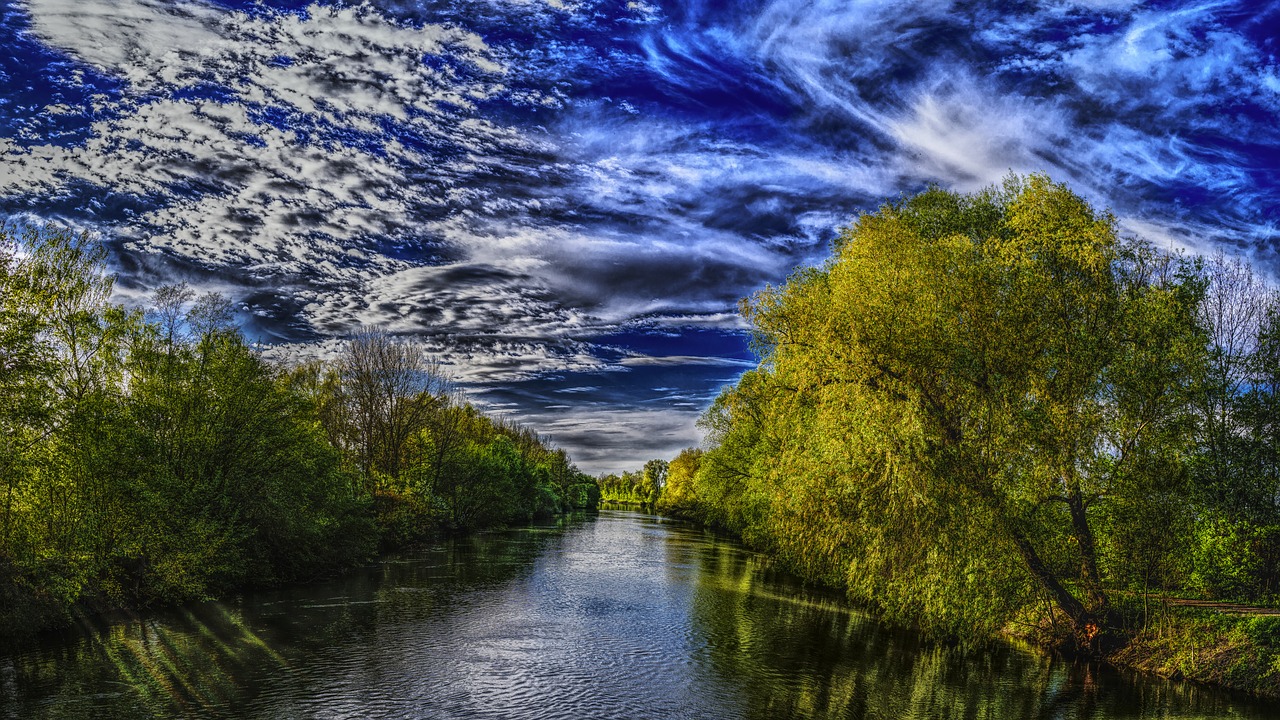 river trees bank free photo