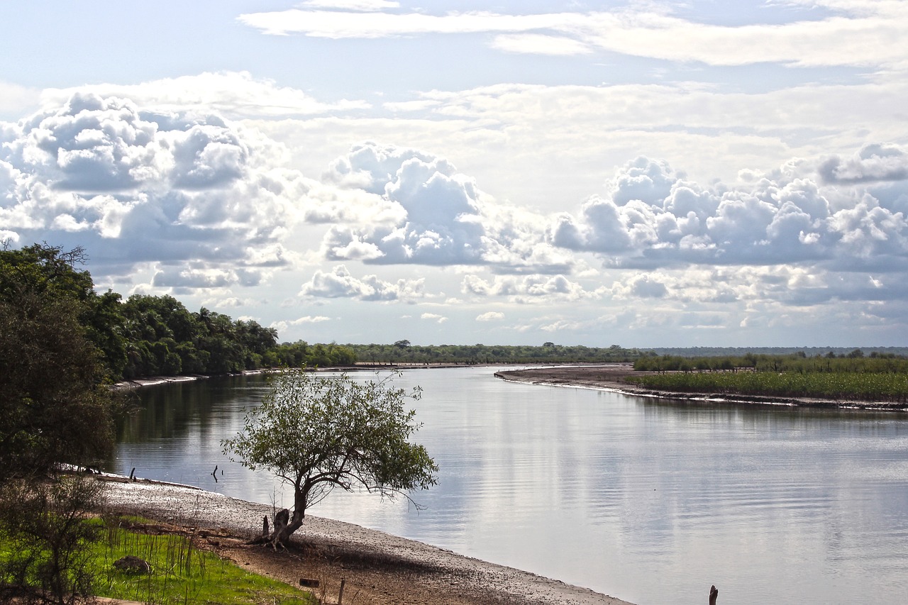 river nature water free photo