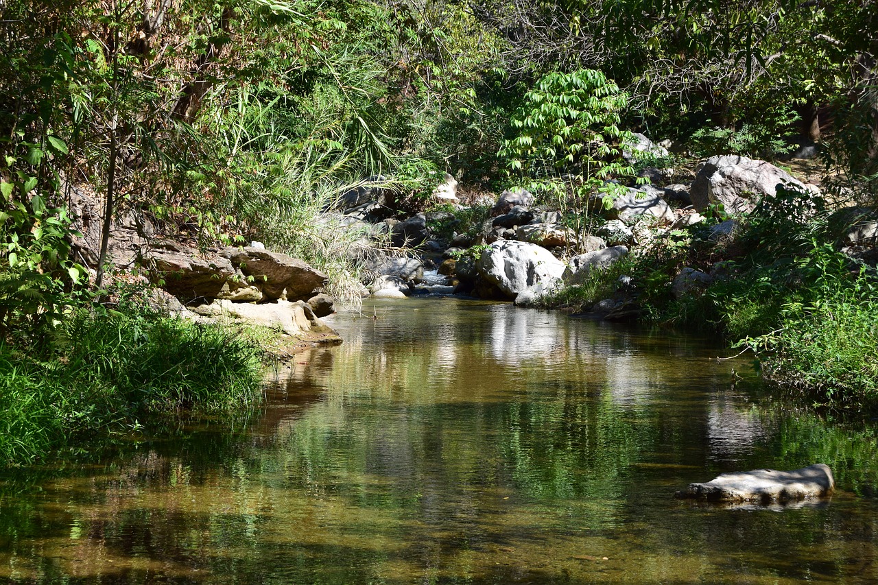 river brook creek free photo