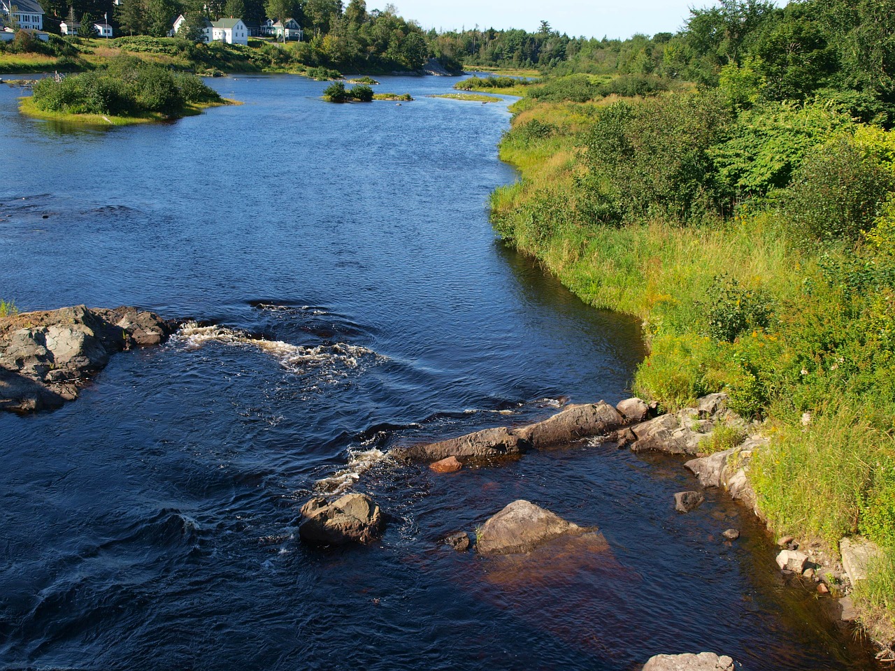 river machias summer free photo