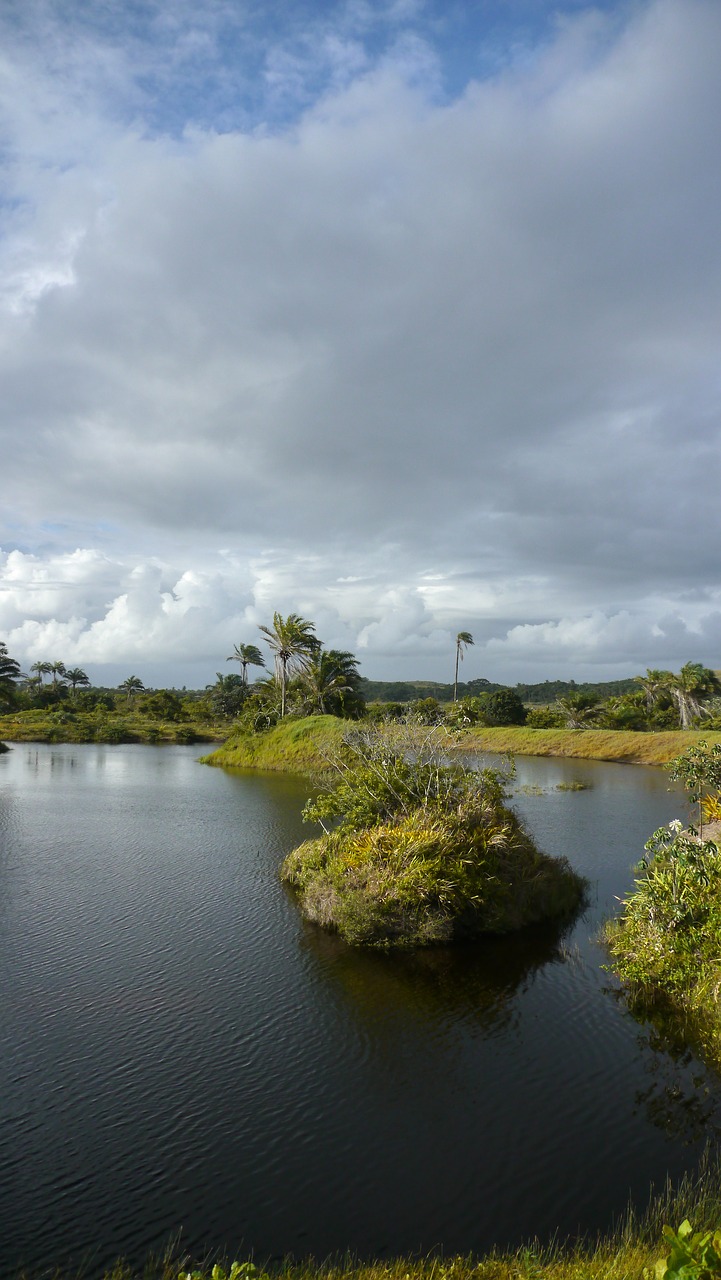 river lagoon nature free photo