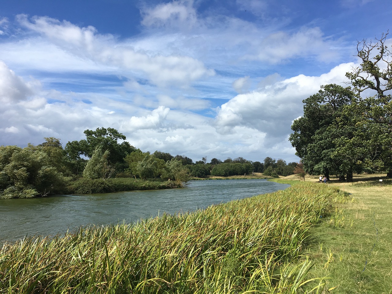 river trees sky free photo