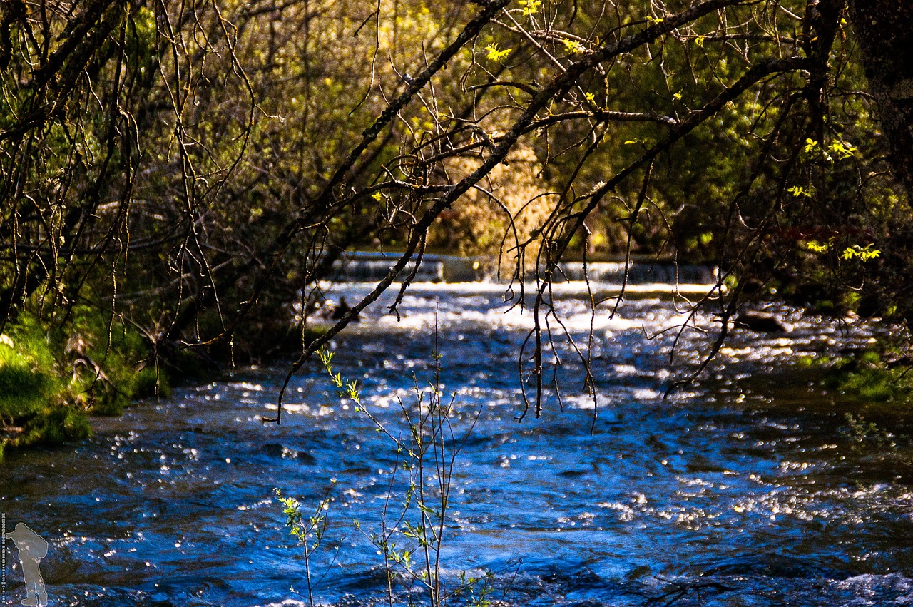 river lozoya nature free photo