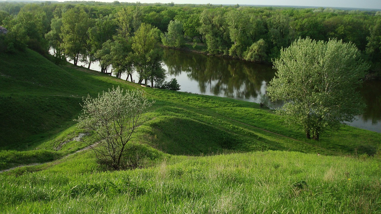 river spring trees free photo