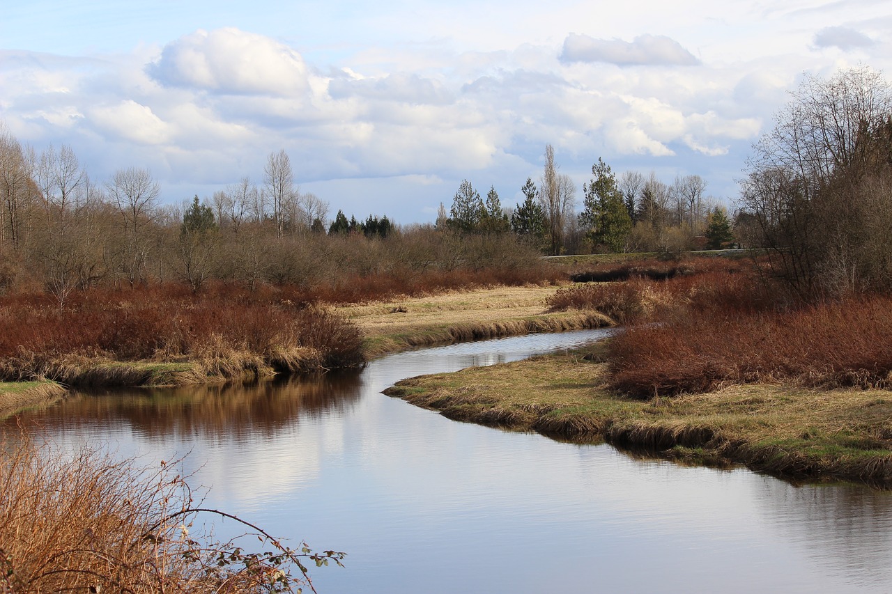 river sky grass free photo