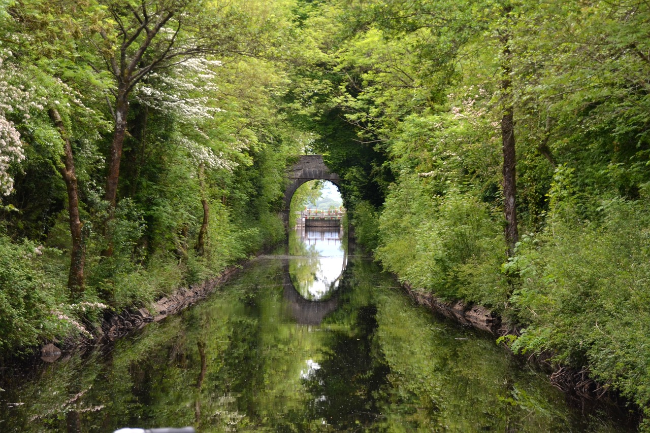 river mirror mirroring free photo