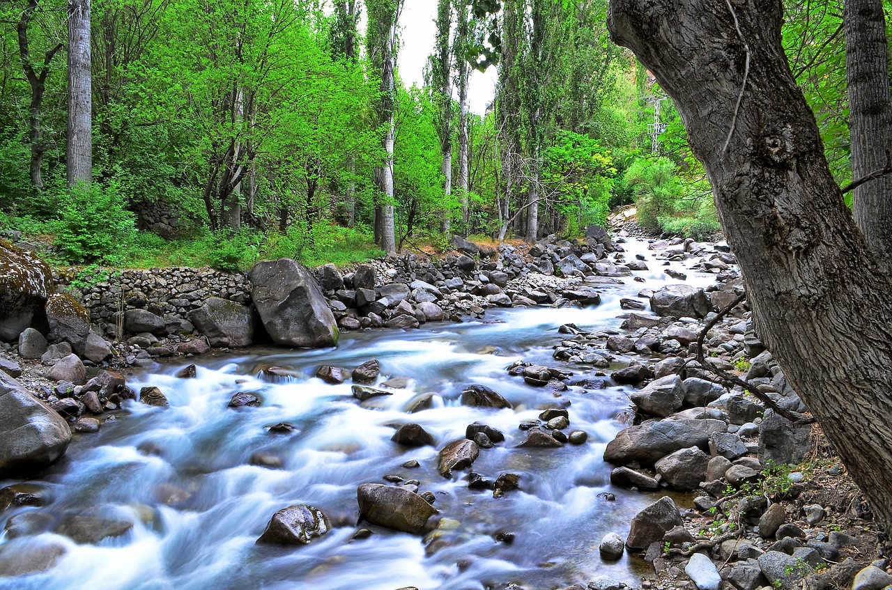 river landscape turkey free photo