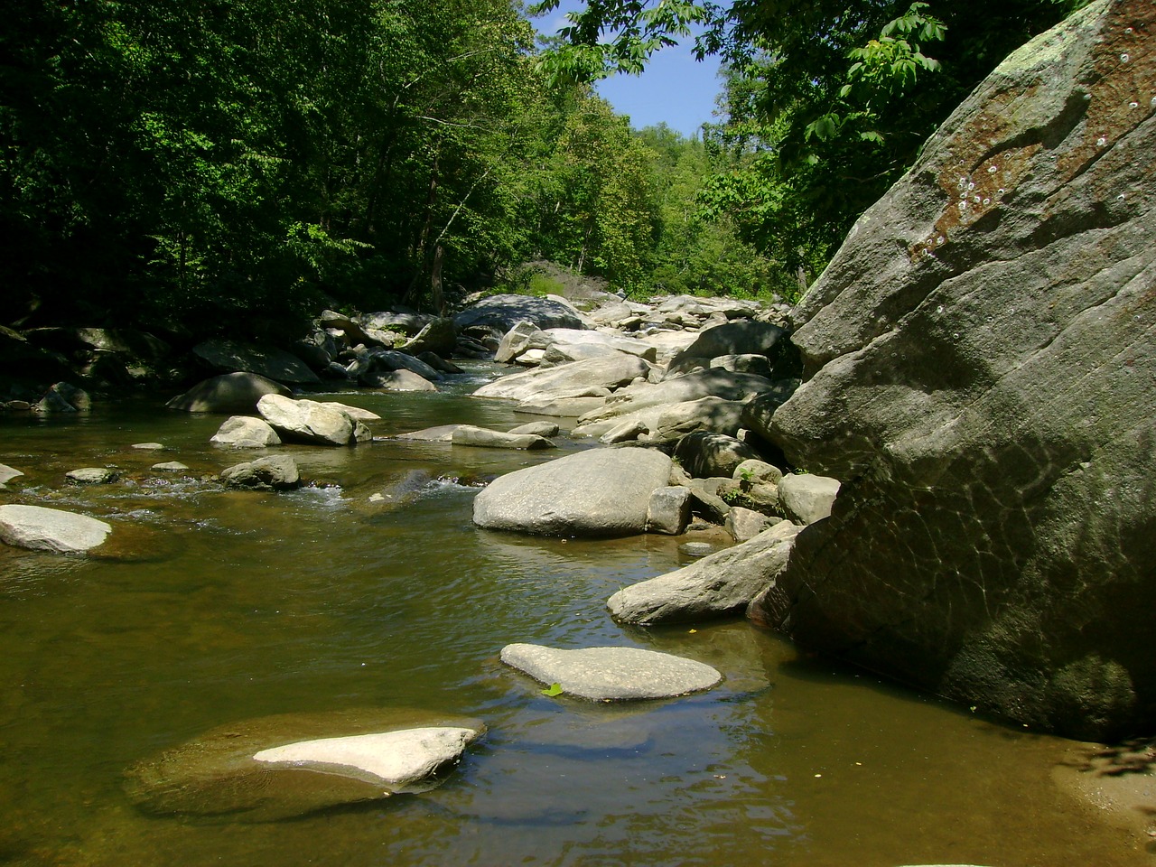 river mountain river mountain landscape free photo